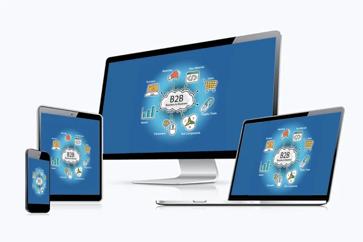 b2b ecommerce platform